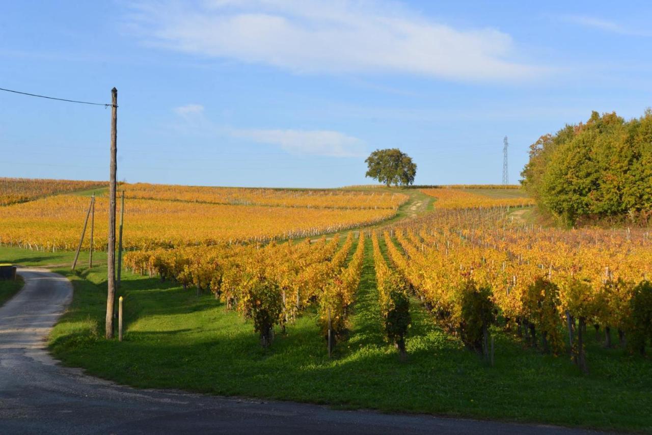 La Closerie De Fronsac Saint-Michel-de-Fronsac Zewnętrze zdjęcie