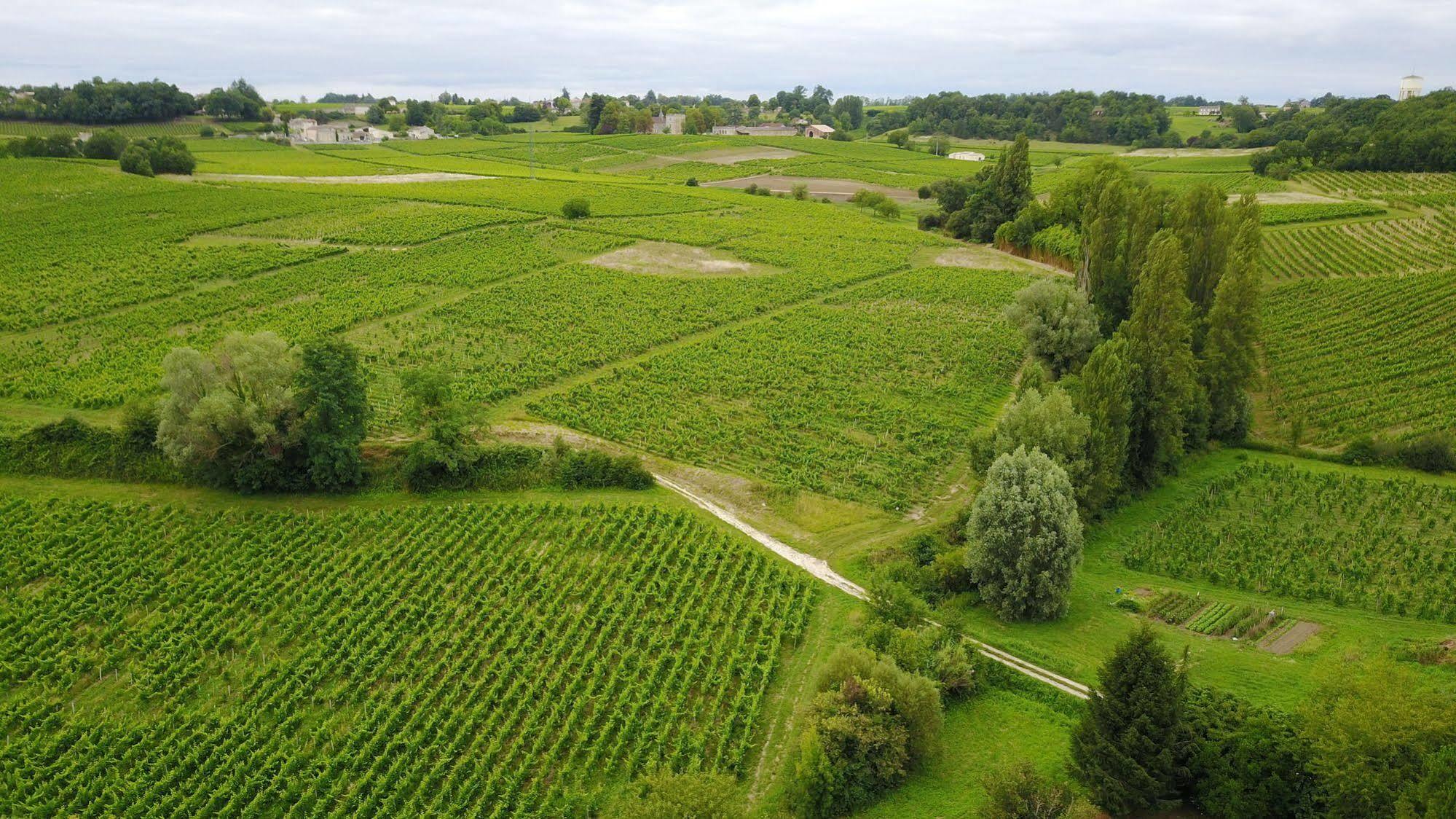 La Closerie De Fronsac Saint-Michel-de-Fronsac Zewnętrze zdjęcie